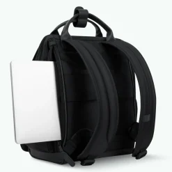 Adventurer Bold Beziers