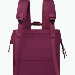 Adventurer Rucksack L Nice