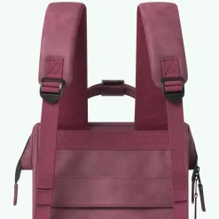 Adventurer Rucksack S Delhi