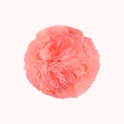 Bobble Coral
